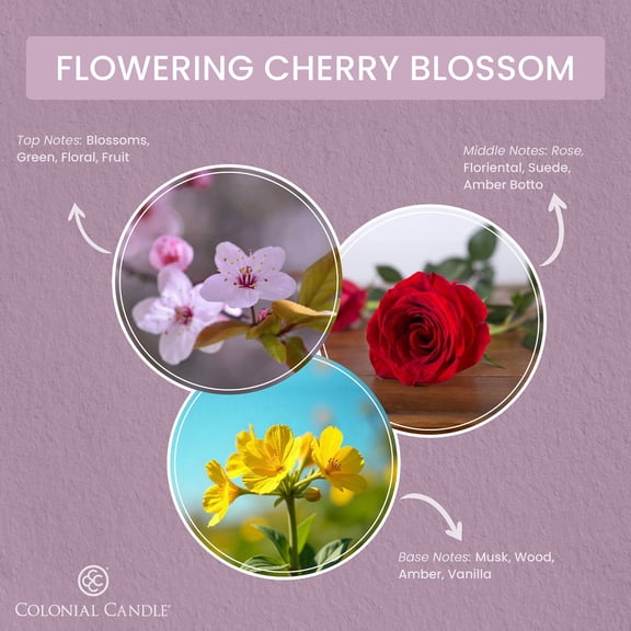 2.75oz Wax Melt Flowering Cherry Blossom