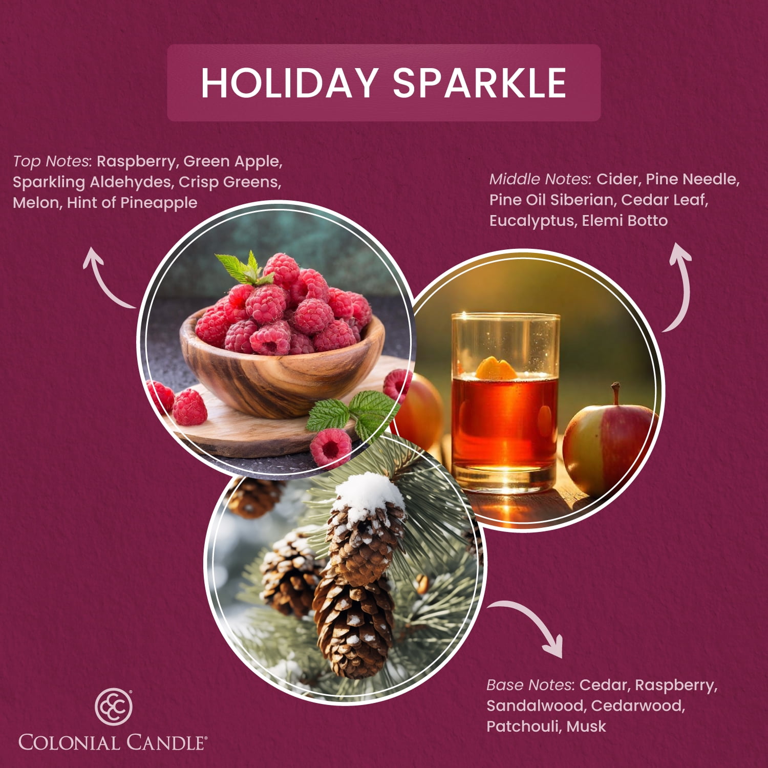 2.75oz Wax Melt Holiday Sparkle