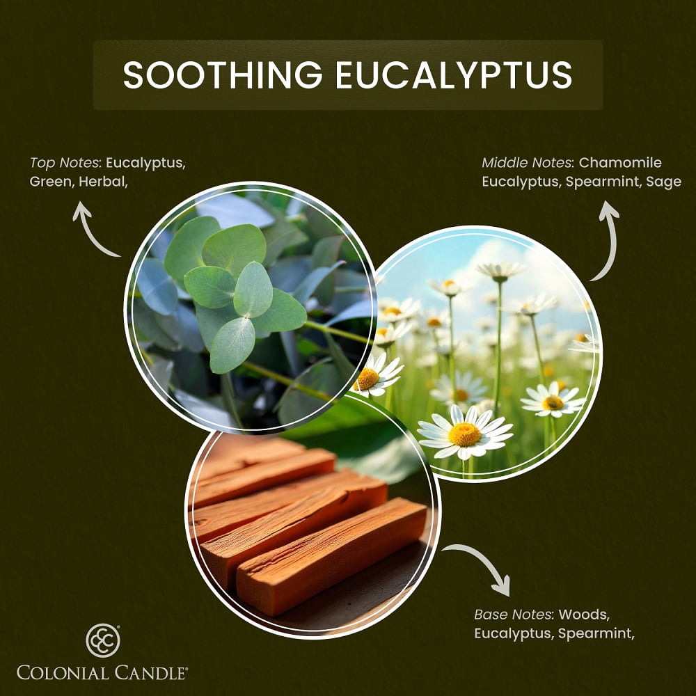 2.75oz Wax Melt Soothing Eucalyptus