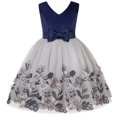 thumbnail image 1 of 2-9T Flower Girls Wedding Embroidery Dress V-Neck Backless Top Party Gown, 1 of 7