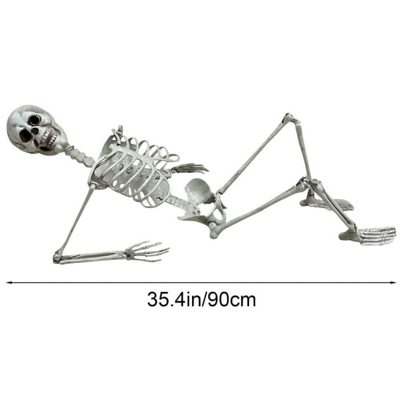 2.9ft Halloween Skeleton Prop Halloween Decorations life Size Skeleton Skull Hand Anatomy Model Yard, Lawn and Home Decor