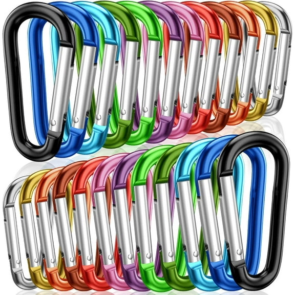2" Aluminum D Ring Carabiners Clip D Shape Spring Loaded Gate Small Keychain Carabiner Clip Set Outdoor Camping Mini Lock Snap Hooks Spring Link Key Chain Durable Improved 24 PCS