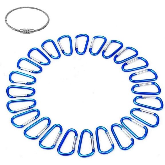 2" Aluminum D Ring Carabiners Clip D Shape Spring Loaded Gate Small Keychain Carabiner Clip Set Outdoor Camping Mini Lock Snap Hooks Spring Link Key Chain Durable Improved 24 PCS