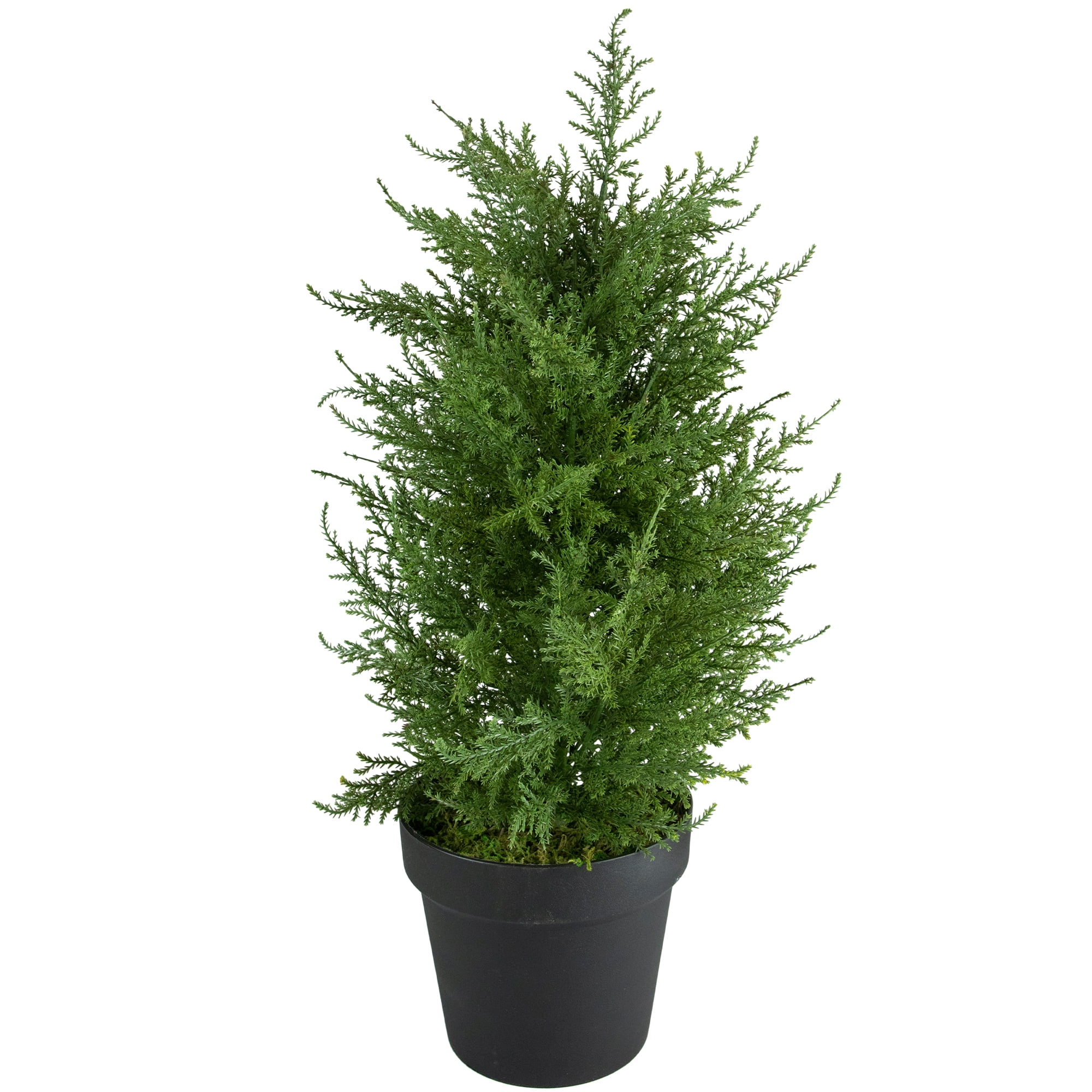 2' Artificial Cedar Pine Petite Arborvitae Tree in Round Pot  Unlit - 12
