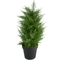 thumbnail image 1 of 2' Artificial Cedar Pine Petite Arborvitae Tree in Round Pot  Unlit - 12, 1 of 5