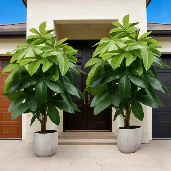 2 Artificial Pachira Glabra Trees, Lifelike Fake Money Tree for Home Office Entryway Decor