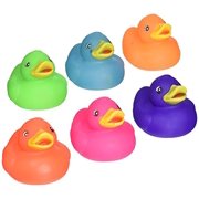 2 SOLID COLOR RUBBER DUCKIES