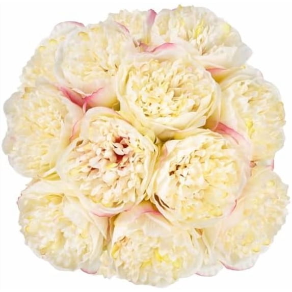 2 Bouquet 10 Heads Artificial Peony Silk Flower Leaf Home Office Wedding Party Festival Bar Decor (Champagne)