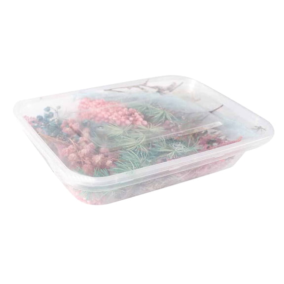 2 Box Dried Flowers,Mixed Colors Dried Flowers,Small Dry Flower for DIY Arts and Crafts Candles,Soap Making,Resin Jewelry Nail Pendant,Greeting Cards,Scrapbooking,Wedding Decor,Random Color 2PCS