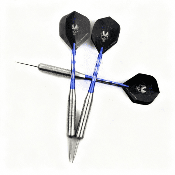 2-Box Professional Steel Tip Darts Set - 28g Stainless Tip with Case Flights