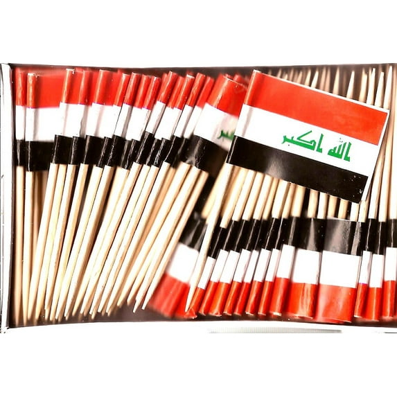 2 Boxes of Mini Iraq Toothpick Flags, 200 Small International Flag Toothpicks or Cocktail Sticks & Picks