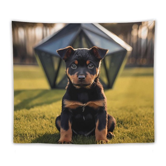 2 Brown Puppy 1 Funny Wall Hanging Bedding Tapestry for Bedroom Home