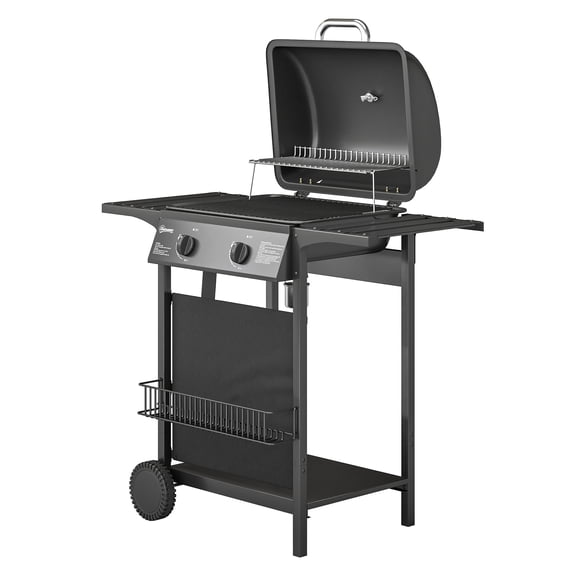 2 Burner Propane Gas Grill, 18000 BTU BBQ Grill with Wheels, Warming Rack, Black