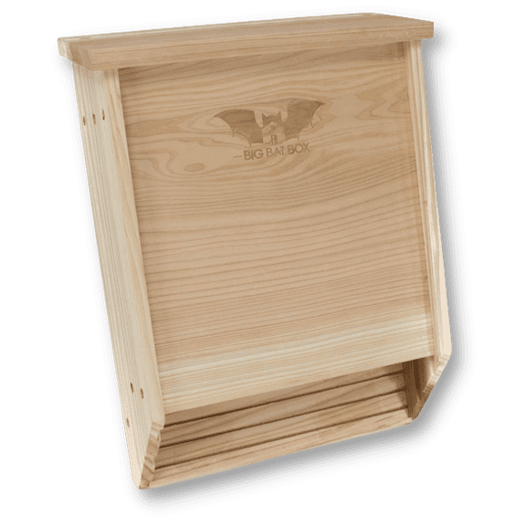 2-Chamber Cedar Bat House Holds Up to 75 Bats | Natural Mosquito Control | Ideal for Hot Climates