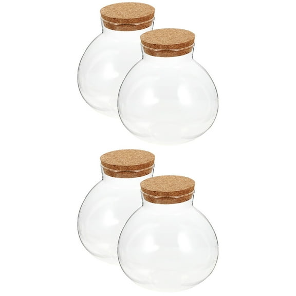 2 Count Eco Bottle Succulent Planter Bubble Bowl Plants Mason Jars Fish Tank Flower Pot