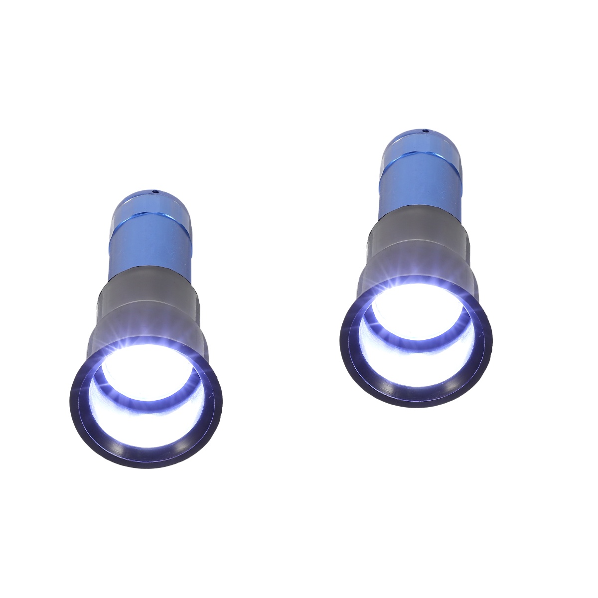 2 Count Hand Held Egg Lamp Light Bulb Poultry Incubation Tool Incubas Incubators for Hatching