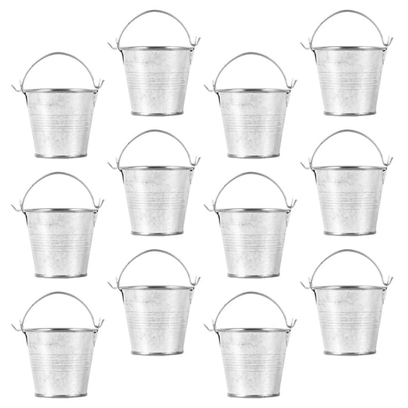 2 Count Tin Bucket Home Decor Mini Flowerpot Child
