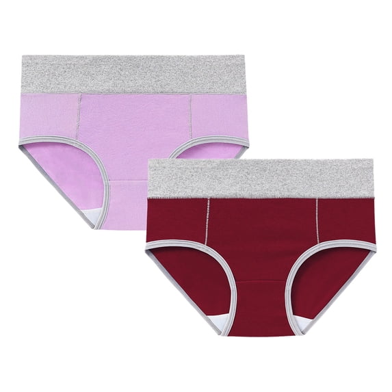 2 Count Womens Classic Cotton Briefs High Waist Soft Panties Underwear for Ladies Nylon Spandex Panties