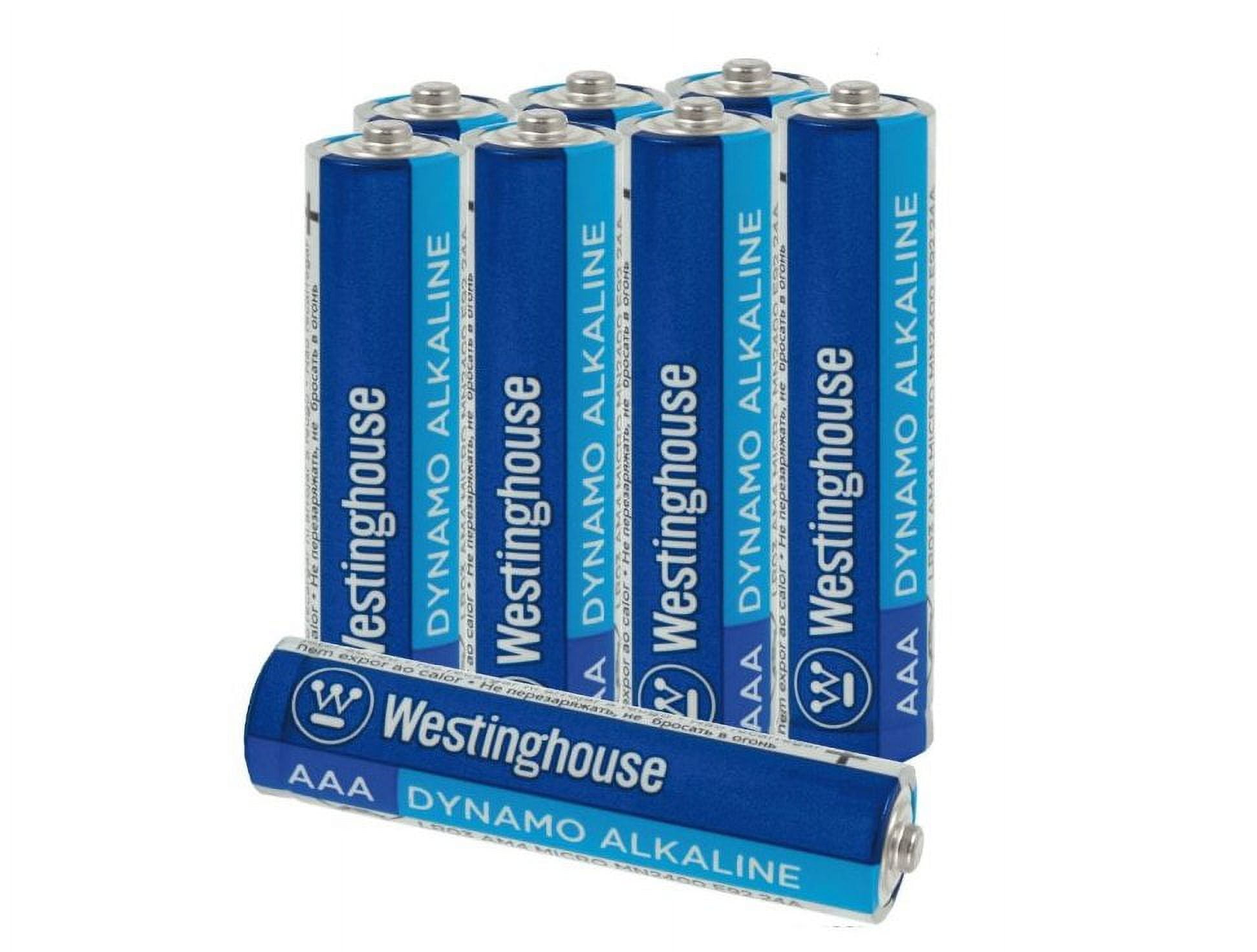2- Count of Bulk AAA Batteries- Bulk Packaging