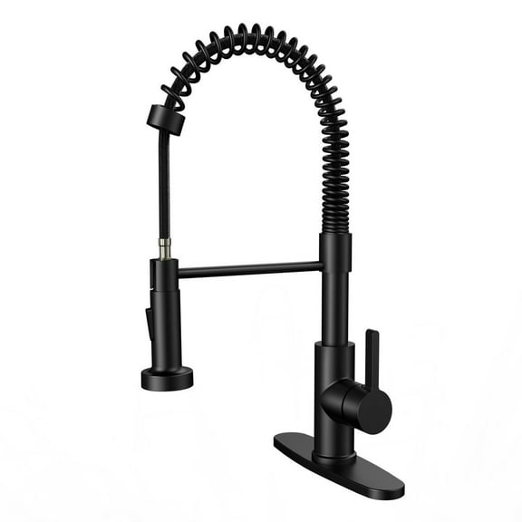 [2 Days Dlivery] Kitchen Faucet Low Lead Single Handle Single Lever Pull Out Pull Down Sprayer Spring Kitchen Sink Faucet Kitchen Faucets