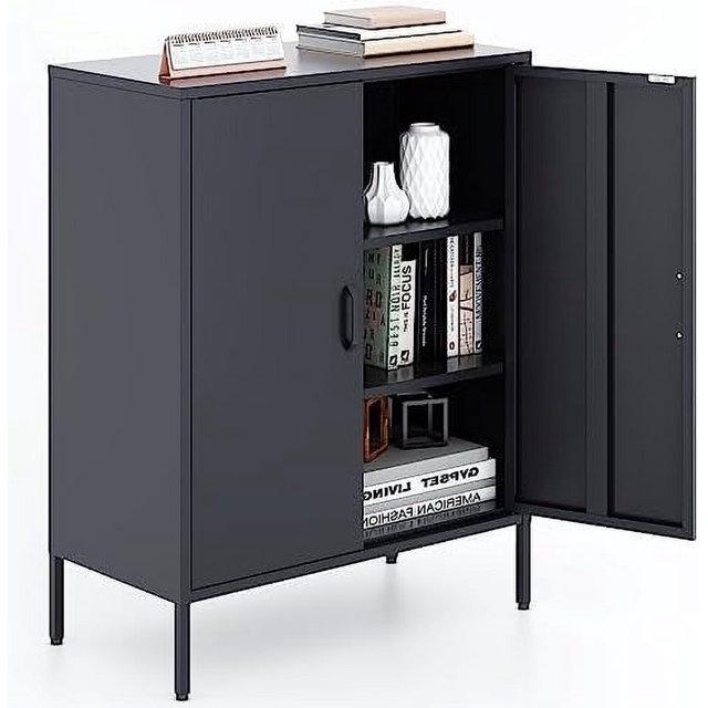 2 Door Metal Accent Metal with Adjustable 2Tier Office