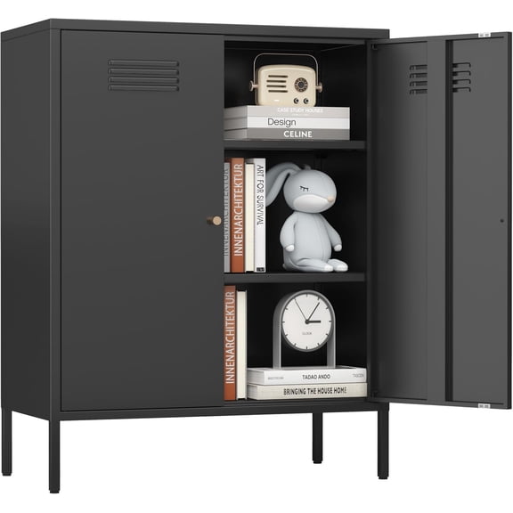 2 Door Metal Storage Cabinet for Bed Room,Living Room,Home,Hotel,Office,Garage,Kitchen,3-Tier,2 Removable Shelves (Metal Door Cabinet, Black)