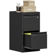 Bestoo 2 Drawer Metal Vertical File Cabinet, 17.8 Deep Filing Cabinet for Home Office, Letter/Legal/A4/F4 Size, Easy Assemble Black