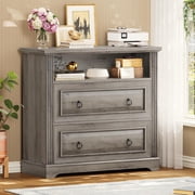 2 Drawer File Cabinet, Farmhouse Filing Cabinet for Home Office Fits Letter, Legal, A4 Size, Wood Lateral File Cabinet with Printer Stand, Storage Shelf, Grey