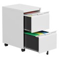 2 Drawer File with Lock,Filing for Home Office,Small