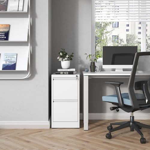 2 Drawer File with Lock, Metal Vertical Filing for