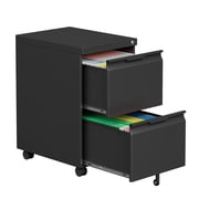 2 Drawer Metal File Cabinet with Lock, Small Filing Cabinets for Home Office,Under Desk Cabinet on Wheels for Folders/Legal/Letter/A4 Files, Assembly Required (