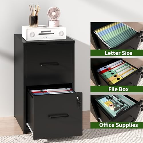 2 Drawer File Cabinet with Lock, Steel Vertical Filing Cabinets for Home Office, Small Metal Storage Cabinet for Hanging Letter Size Files Folders, Assembly Required(Black)
