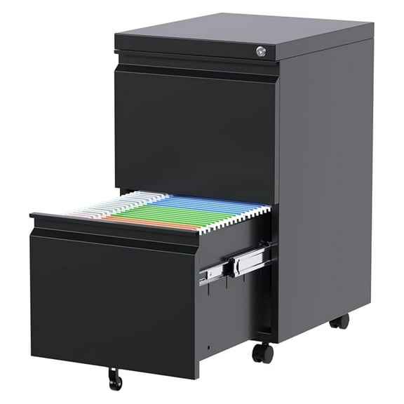 2 Drawer File Cabinet, Lockable Metal Filing Cabinet with Wheels for Home Office, Legal/Letter Size, Fully Assembled Except Wheels, Black
