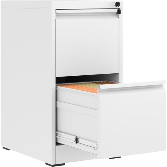 BIZOEIRON 2 Drawer Metal File Cabinet with Lock, Vertical Filing Cabinet for Hanging Legal/Letter Size Files, White