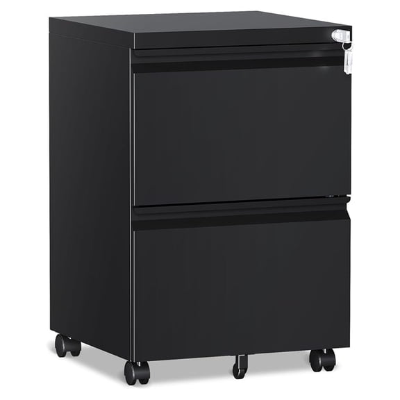 2 Drawer File CabinetMobile Filing Cabinet with Lock and WheelsUn-Assembled Metal Under Desk File Cabinets for A4/Letter/Legal SizeBlack