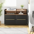 2 Drawer File Rolling Filing for Home Office Black