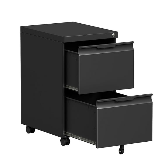 2 Drawer File Cabinet on Wheels, Mobile File Cabinet with Lock for Letter/Legal/A4 File, Metal Rolling File Cabinets for Home Office (Black)