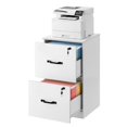 2 Drawer File Cabinet with Locks, for A4, Letter Sized Documents ...