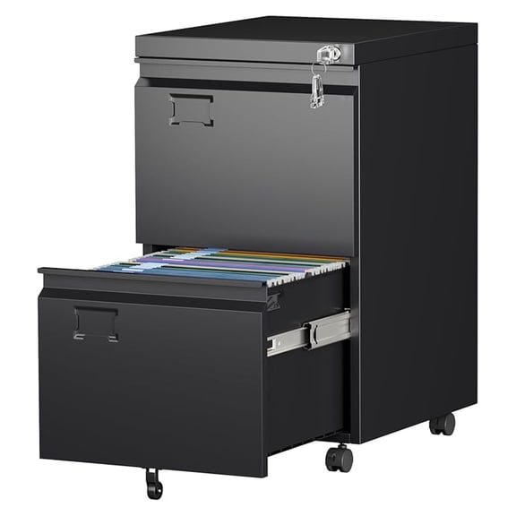 2 Drawer File Cabinet with Wheels, Lockable Metal Filing Cabinet for Home Office - Legal/Letter Size, Black, Assembly Required