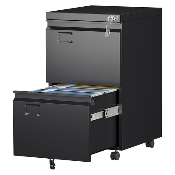2 Drawer File Cabinet with Wheels, Lockable Metal Filing Cabinet with Business Card Slot for Legal/Letter Size Home Office, Required Assembled,Black