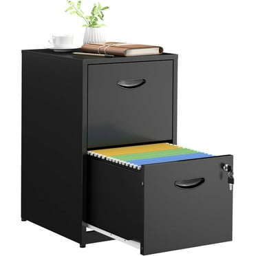 2 Drawer File Cabinets,Metal Office File Cabinet with Lock,Black Filing Cabinets for Home Office,Vertical Modern File Cabinet Office Two Drawers for Hanging Letter,Assembly Required