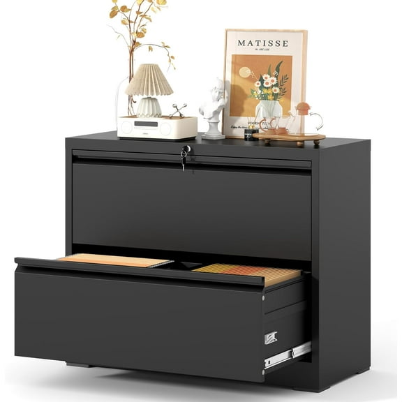 2 Drawer Lateral File Cabinet, Metal Lateral Filing Cabinet for Home Office, Filing Cabinets for Letter/Legal/A4/F4 Hanging Files (Black)
