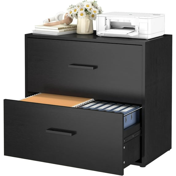 2 Drawer Lateral File Cabinet, Printer Stand Black Filing Cabinets for Home Office and School, Wood Rattan File Cabinet for Hanging Files/LetterSize, Black