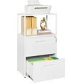 2 Drawer Lateral File with Lock,Printer Stand Filing