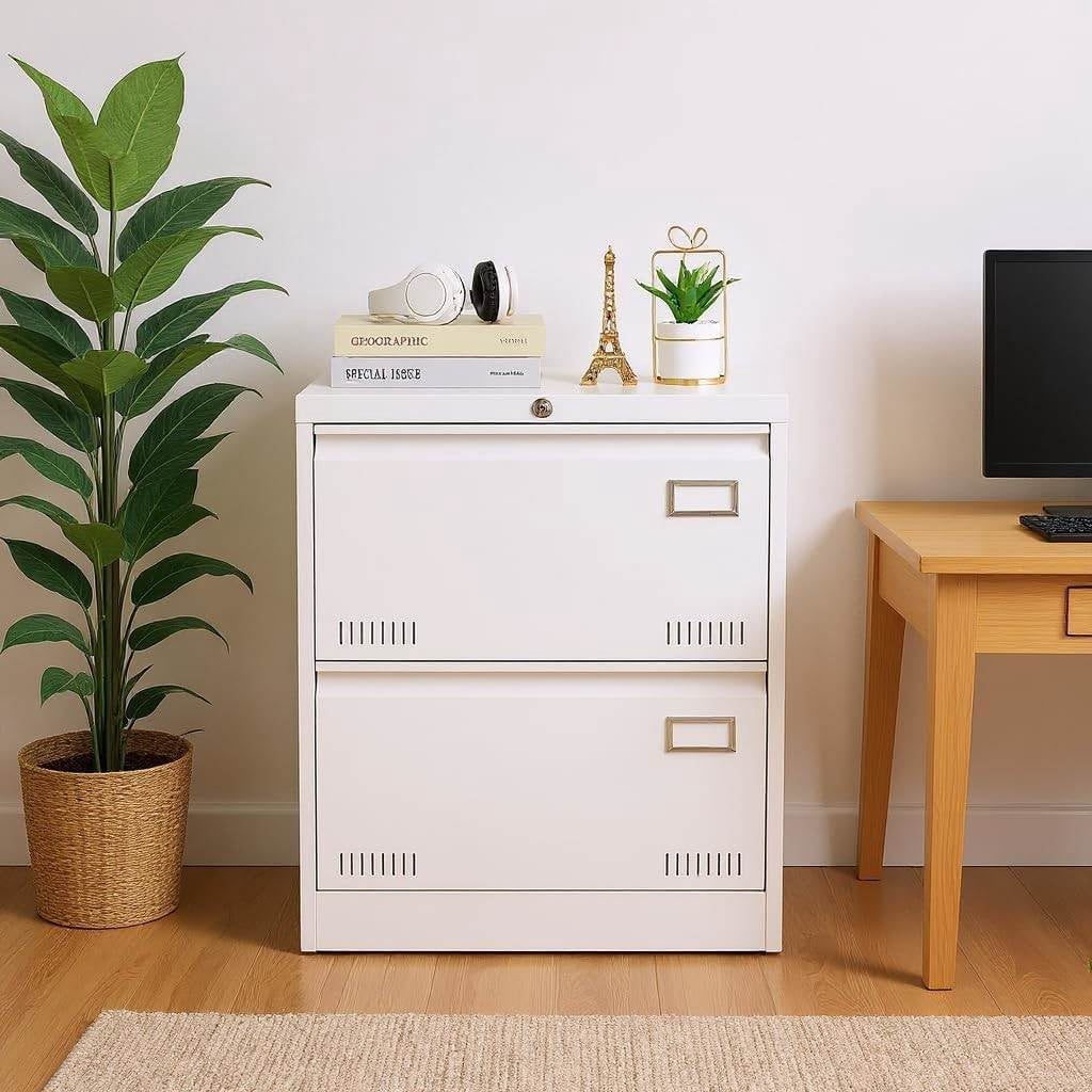 2-Drawer Lockable Lateral File Cabinet with Card Holder, Metal Under ...