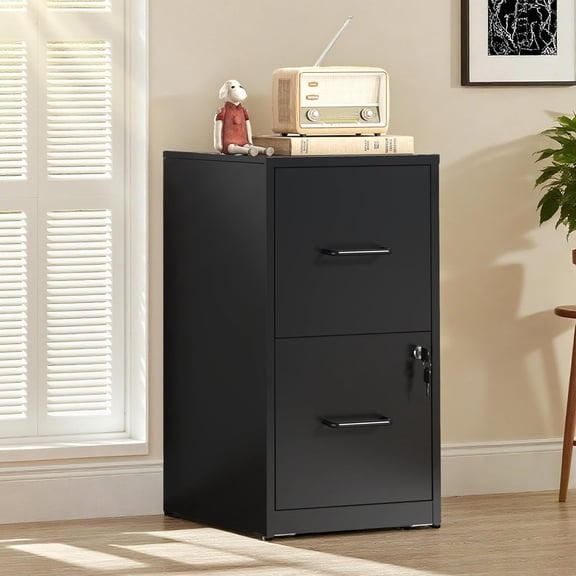 2-Drawer Locking Vertical File Cabinet, Metal Storage Cabinet for Letter/Legal/A4/F4 Documents