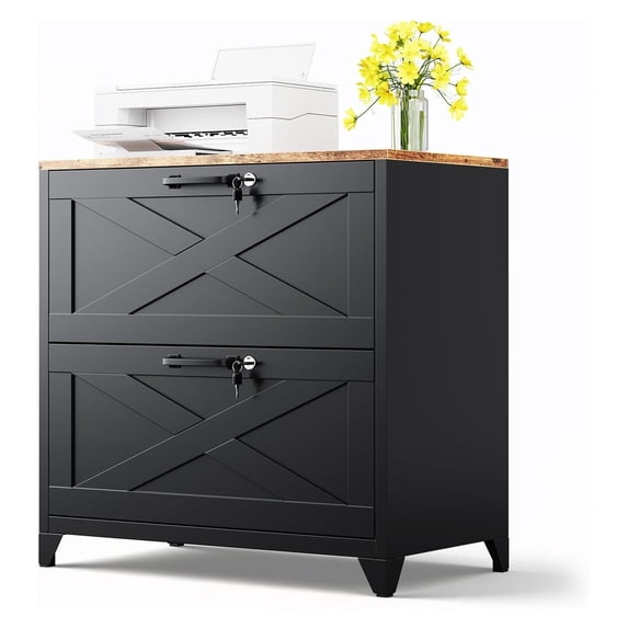 2 Drawer Metal File Cabinet with Lock, Black Lateral Filing Cabinet for ...