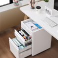 2 Drawer Metal File Metal Mobile Filing Under Desk