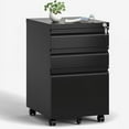 2 Drawer Mobile File with Lock,Under Desk Metal Filing