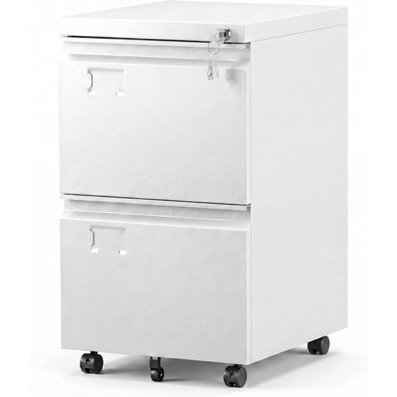 2 Drawer Mobile File Cabinet with Lock, Heavy Duty Steel Under Desk Filing Cabinet for Home Office, Anti-Tip Design with 5 Casters, Assembly Required